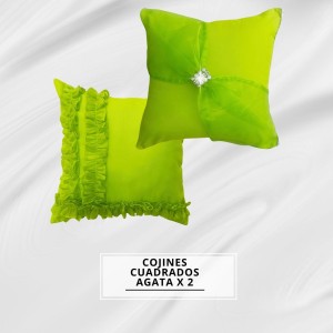 COJINES CUADRADO AGATA X2