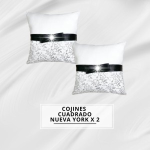 COJINES CUADRADO NUEVA YORK X2