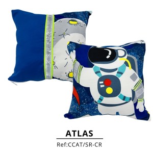 COJÍN CUADRADO ATLAS X2