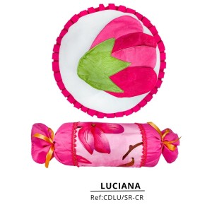 COJÍN DÚO LUCIANA X2