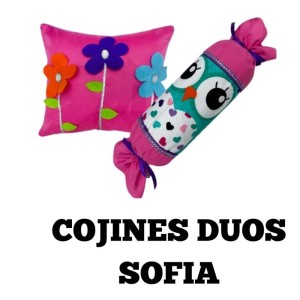 COJÍN DÚO SOFIA X2
