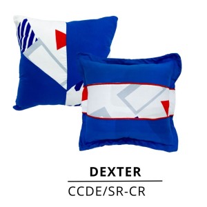 COJINES CUADRADOS DEXTER X2