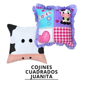 COJINES CUADRADO JUANITA X2